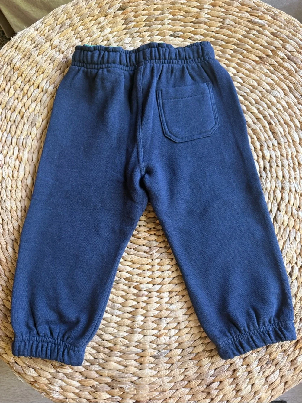 Gymboree Dragon Fleece Pants